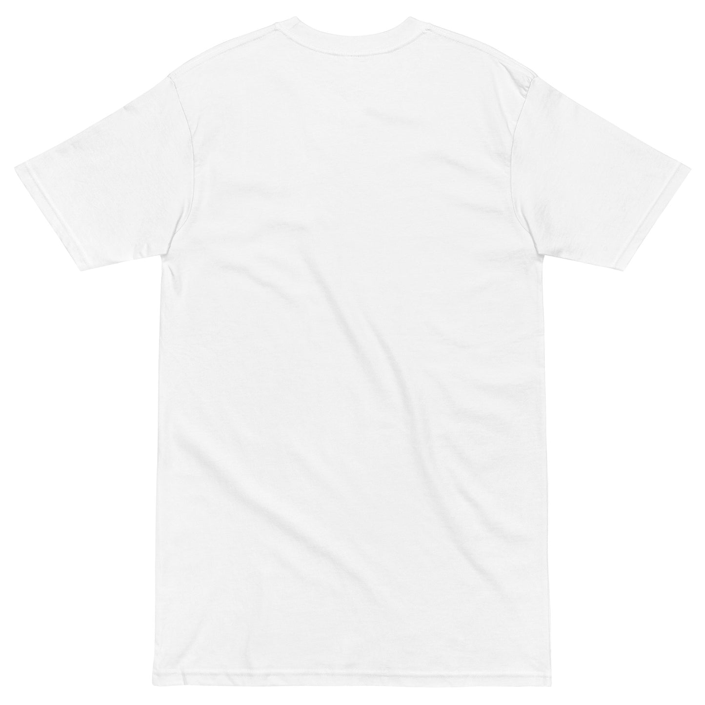 EzPanda™ Men's Premium Oversized T-Shirt (Original Logo - Transparent)